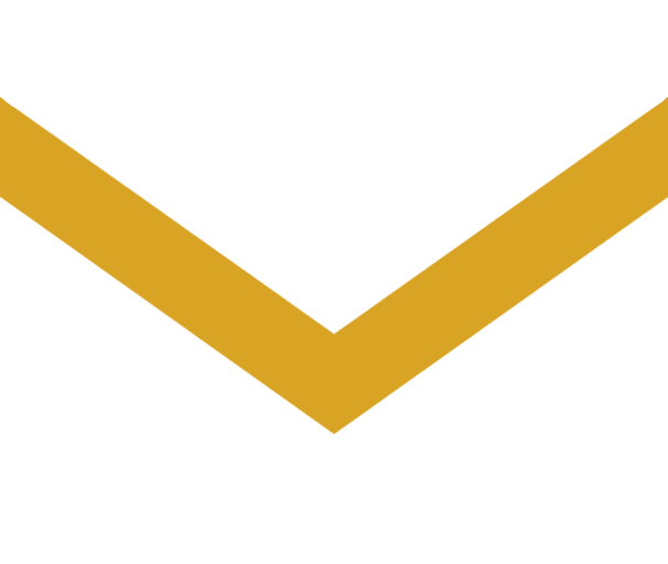 arrow down orange 2